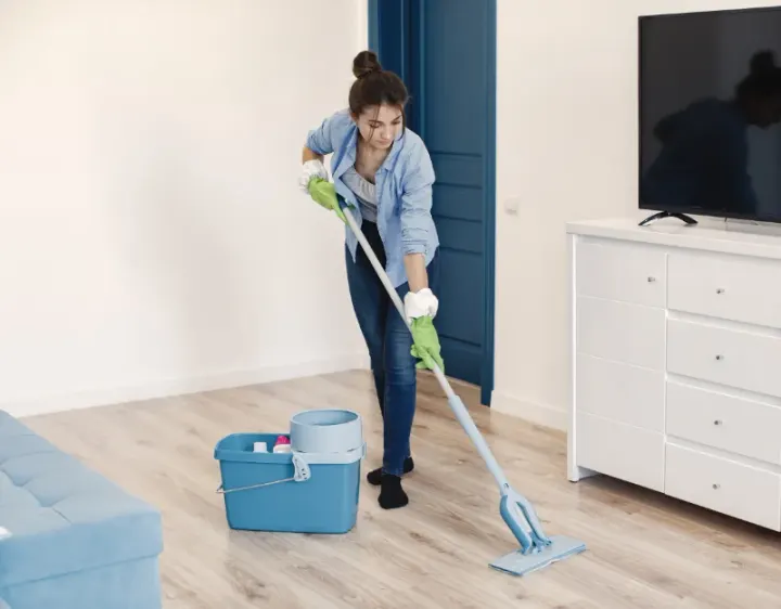 Femme de ménage Besse